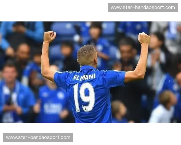 尤文图斯vs里昂：一场荡气回肠的欧冠对决，荣耀与梦想的激情碰撞